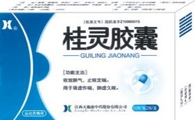 桂靈膠囊權威全解 招商指南、說明書與醫藥價值深度分析